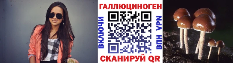 Купить  Белокуриха  Псилоцибиновые грибы мухоморы 