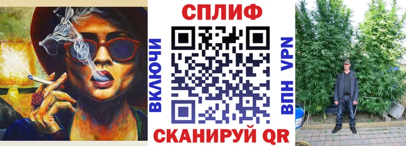 Шишки марихуана план  Купить закладки  Белокуриха 